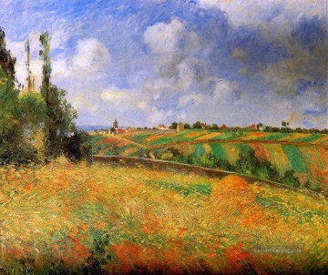 Camille Pissarro Werke - Felder 1877 Camille Pissarro